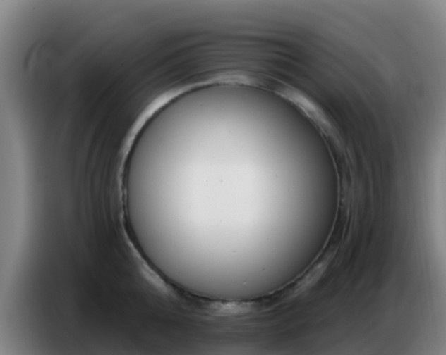 X0000086800808200704201902