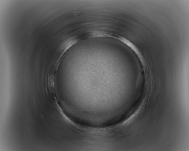 X0000086800809200704201902