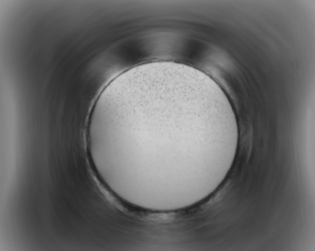 X0000086800810200704201902