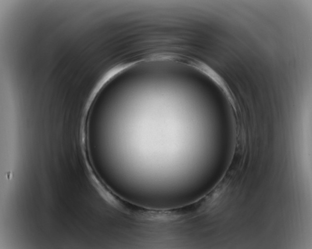 X0000086800811200704201902