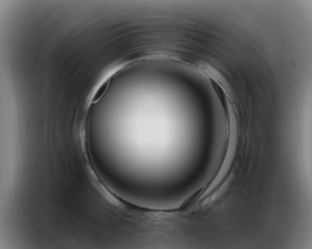 X0000086800812200704201902