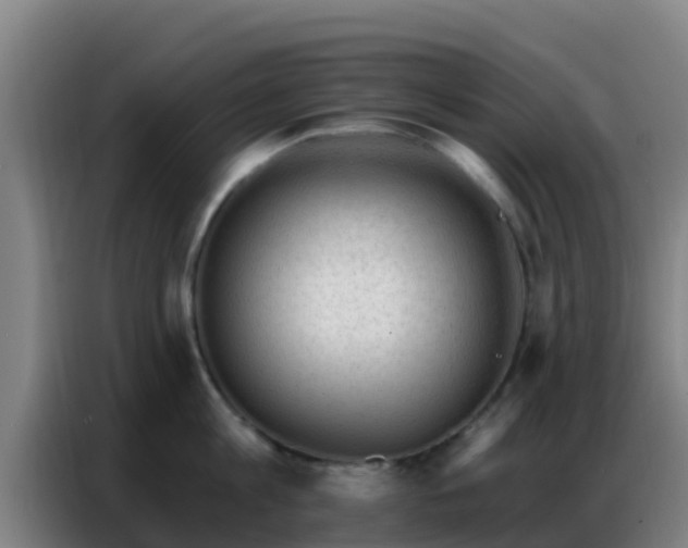 X0000086800813200704201902