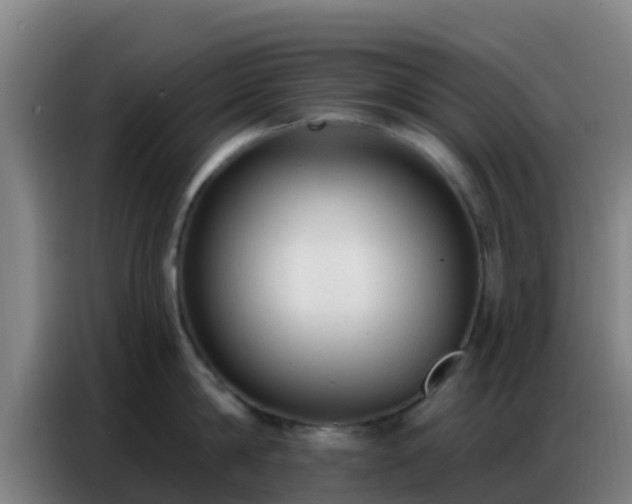 X0000086800814200704201902