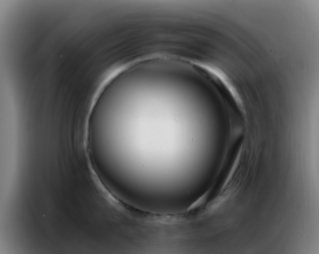 X0000086800815200704201902