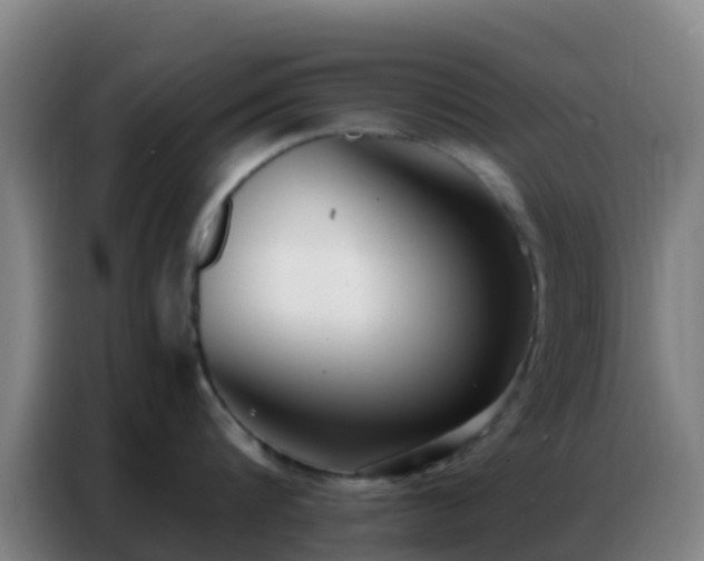 X0000086800816200704201902