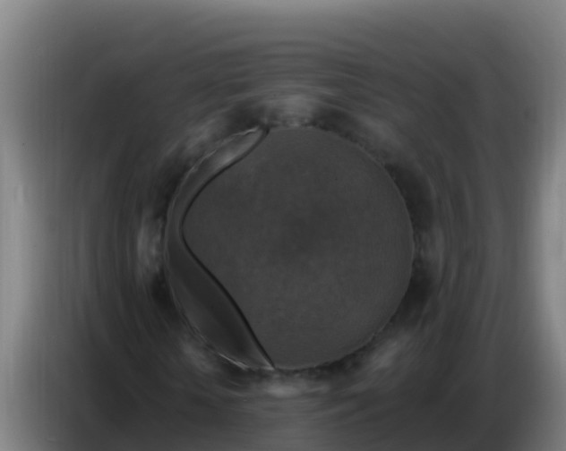 X0000086800818200704201901