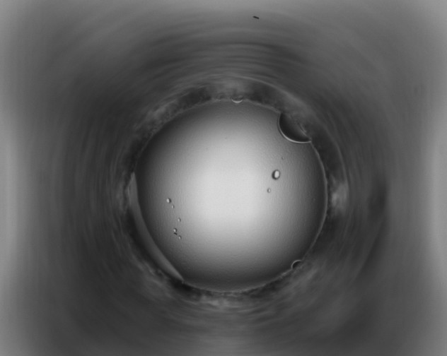 X0000086800819200704201901