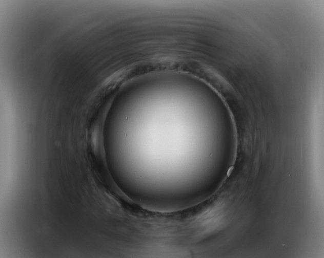 X0000086800821200704201901