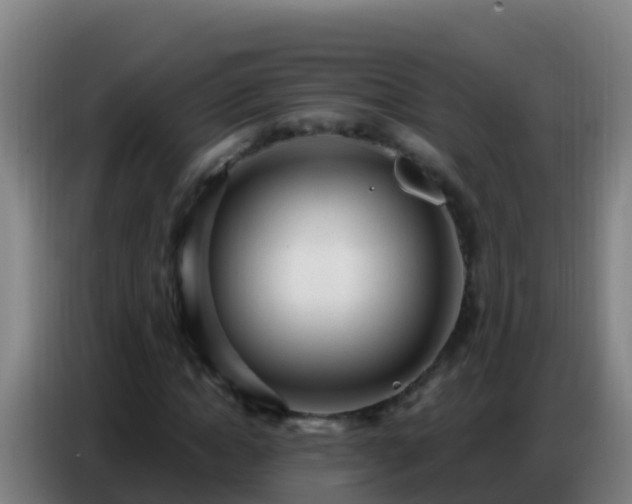 X0000086800822200704201901