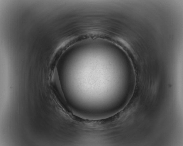 X0000086800823200704201901