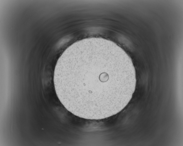 X0000086800824200704201901