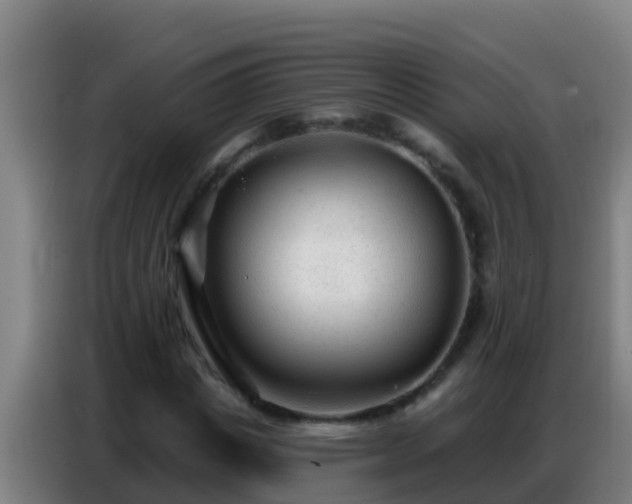 X0000086800825200704201901