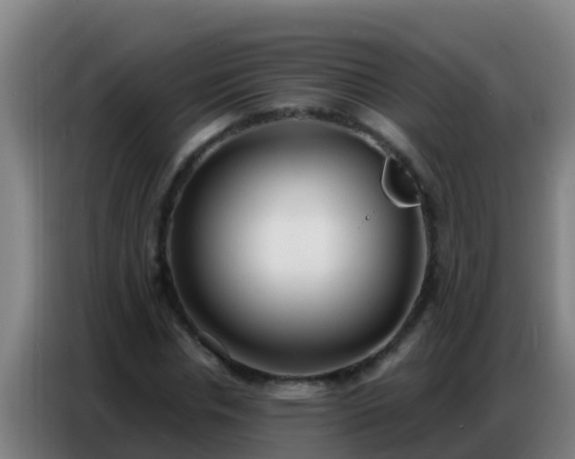 X0000086800826200704201901