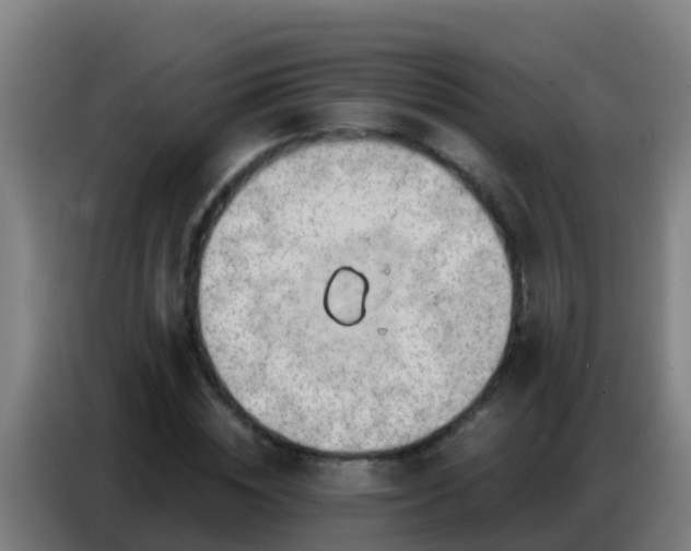 X0000086800828200704201901
