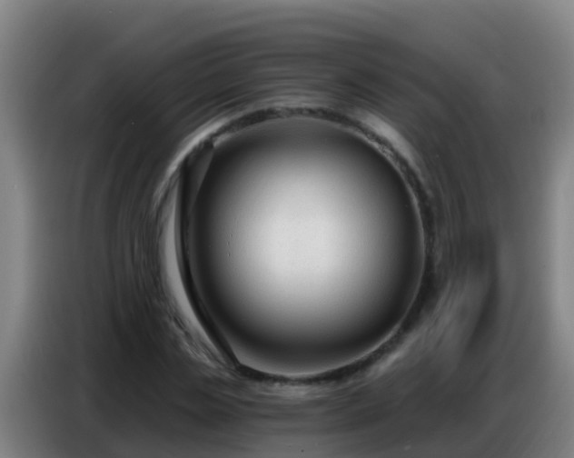 X0000086800829200704201901