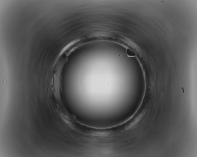 X0000086800830200704201901