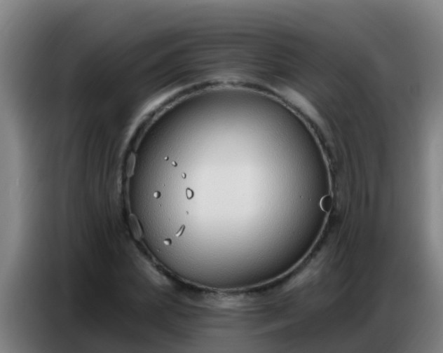 X0000086800831200704201901