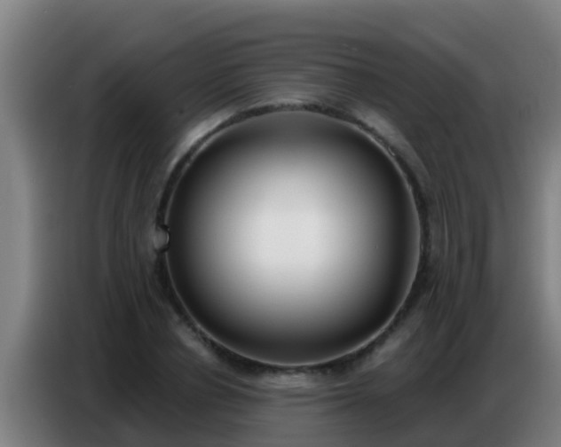 X0000086800834200704201901