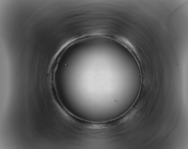 X0000086800835200704201901