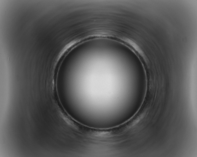 X0000086800837200704201902