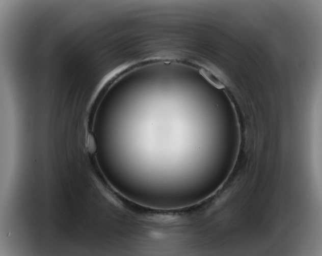X0000086800838200704201902