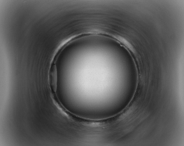 X0000086800839200704201902