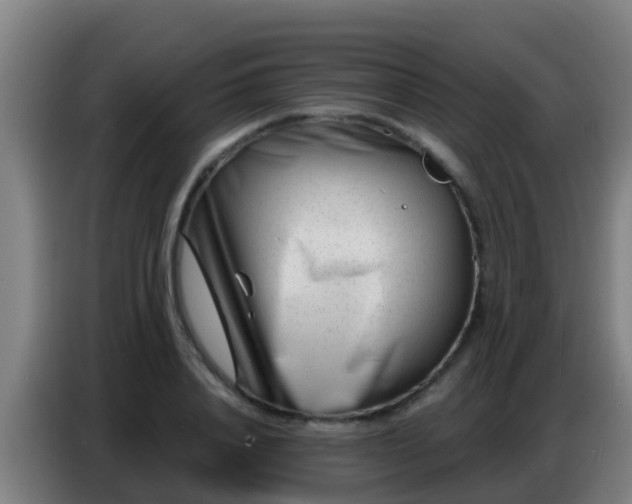 X0000086800840200704201902