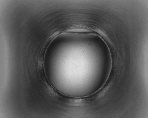 X0000086800841200704201902