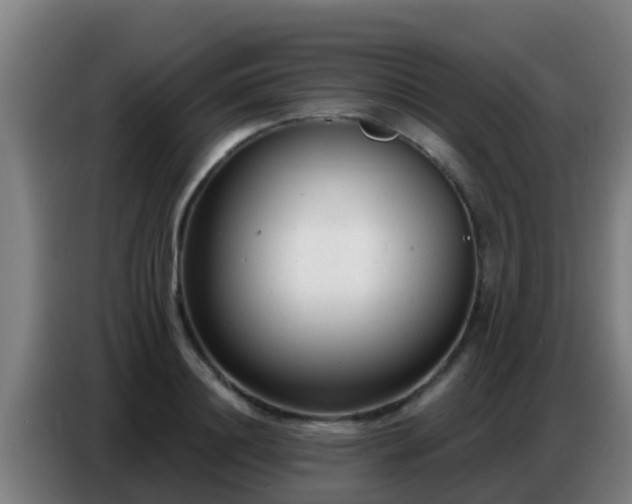 X0000086800844200704201902