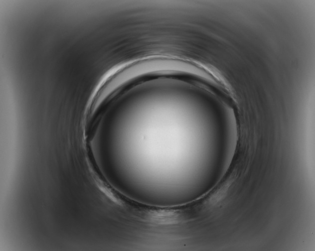 X0000086800846200704201902