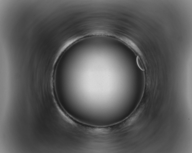 X0000086800847200704201902