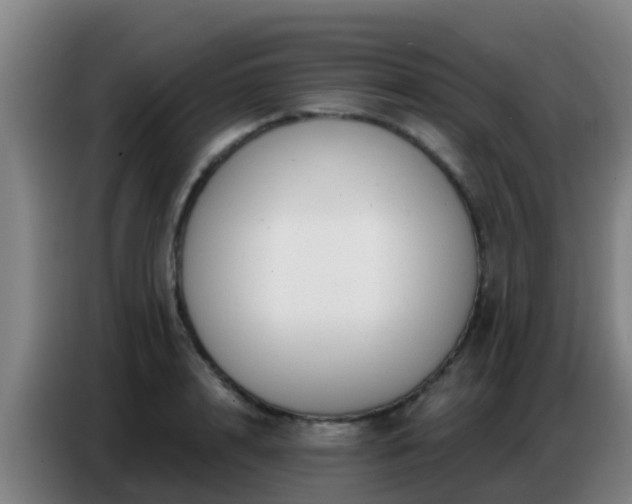 X0000086800848200704201902