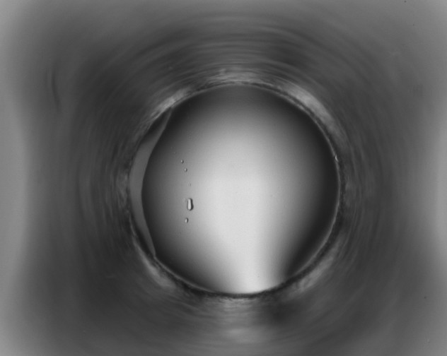 X0000086800849200704201902