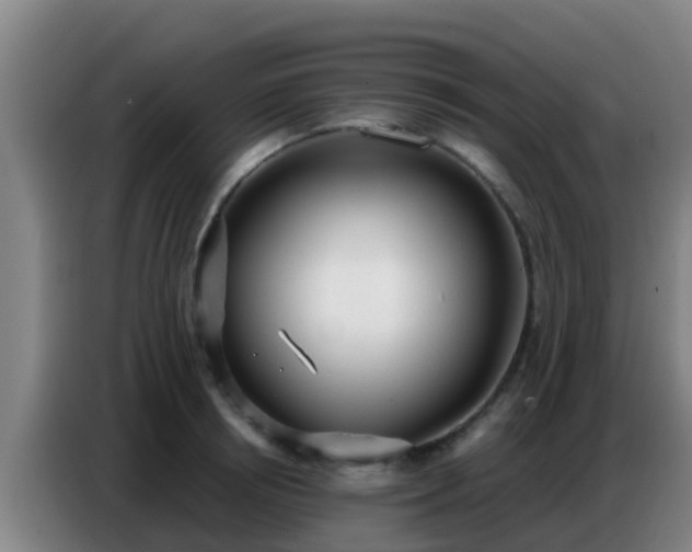 X0000086800850200704201902