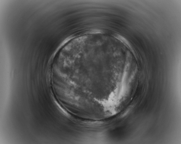 X0000086800851200704201902
