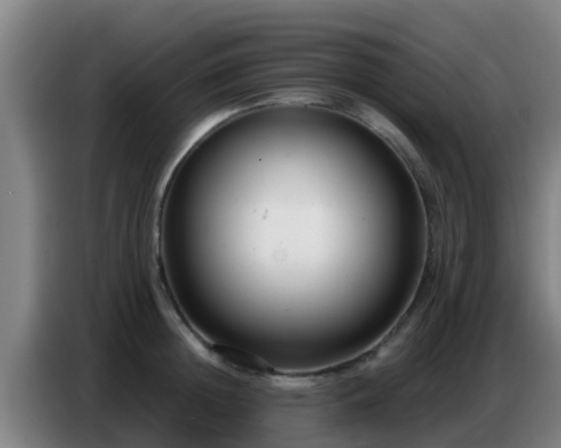X0000086800852200704201902