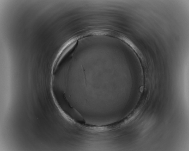 X0000086800853200704201902