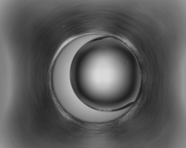 X0000086800854200704201902