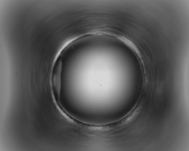 X0000086800855200704201902