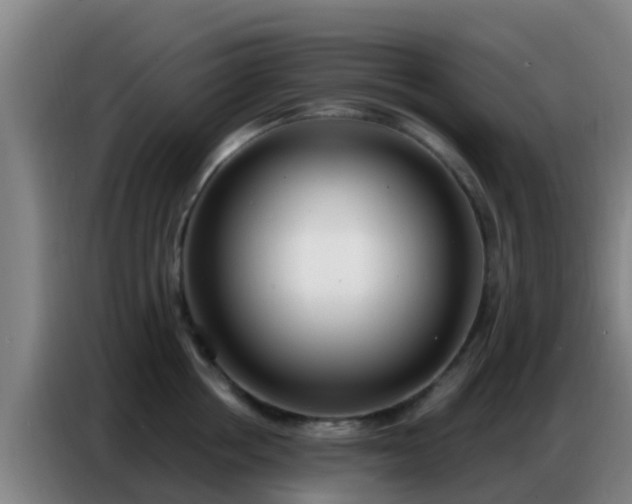 X0000086800858200704201902