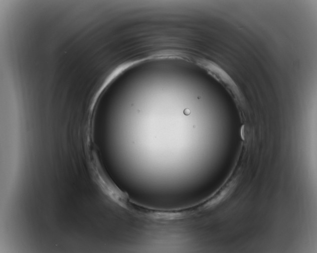 X0000086800860200704201902