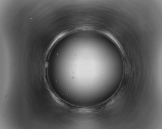 X0000086800861200704201902