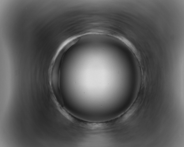 X0000086800862200704201902