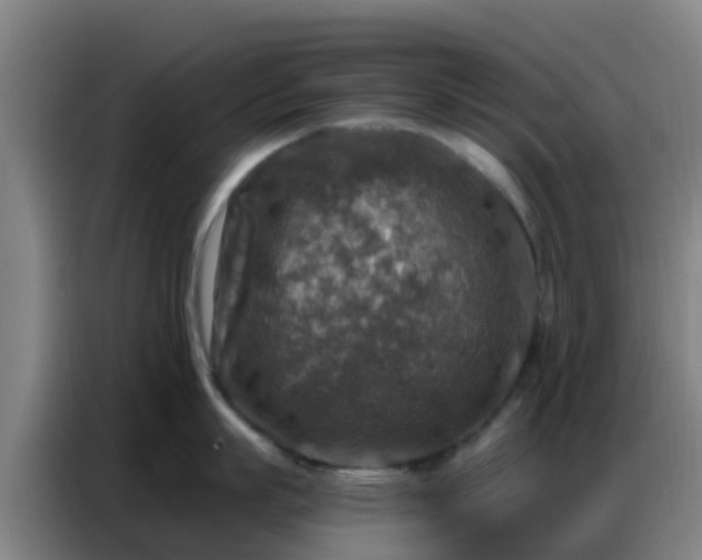 X0000086800863200704201902