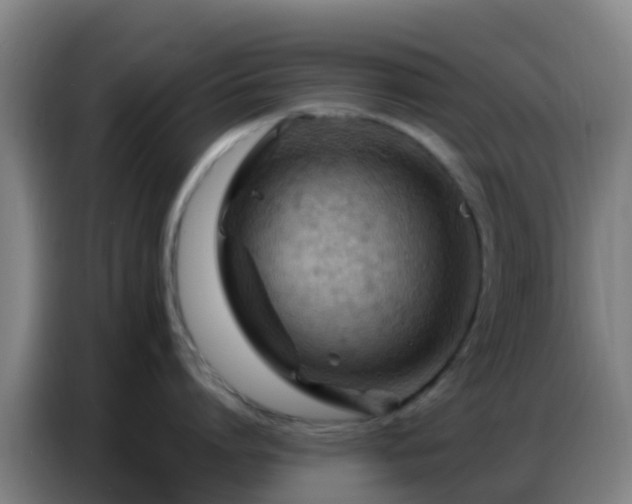 X0000086800864200704201902