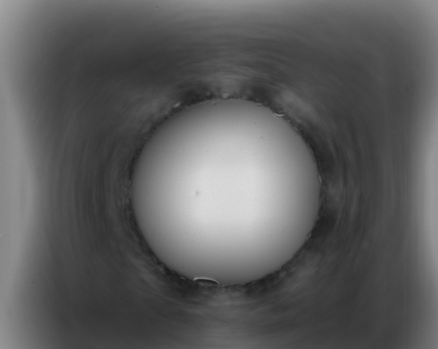 X0000086800865200704201901