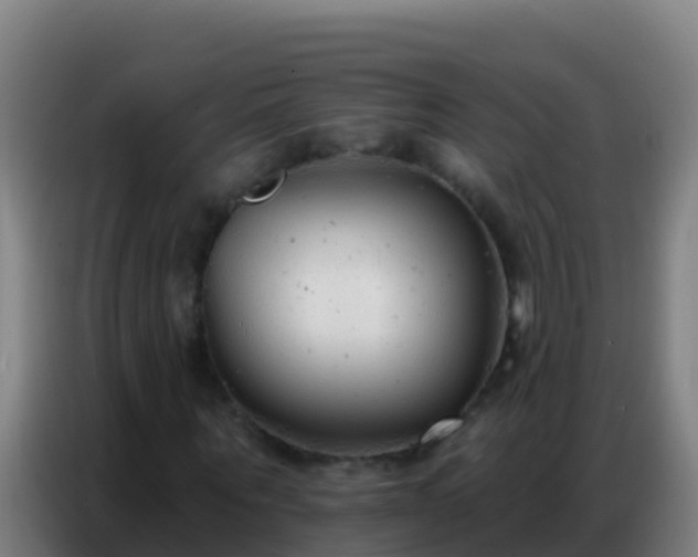 X0000086800867200704201901