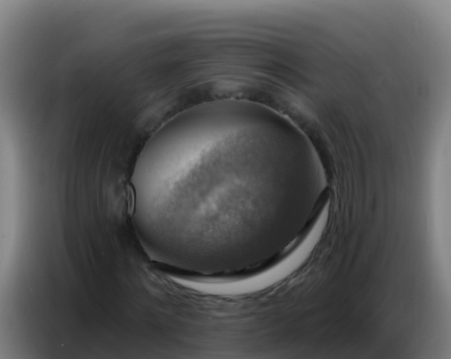 X0000086800868200704201901