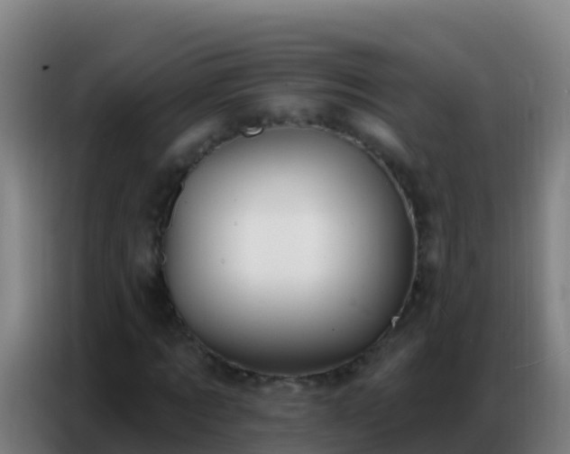 X0000086800869200704201901
