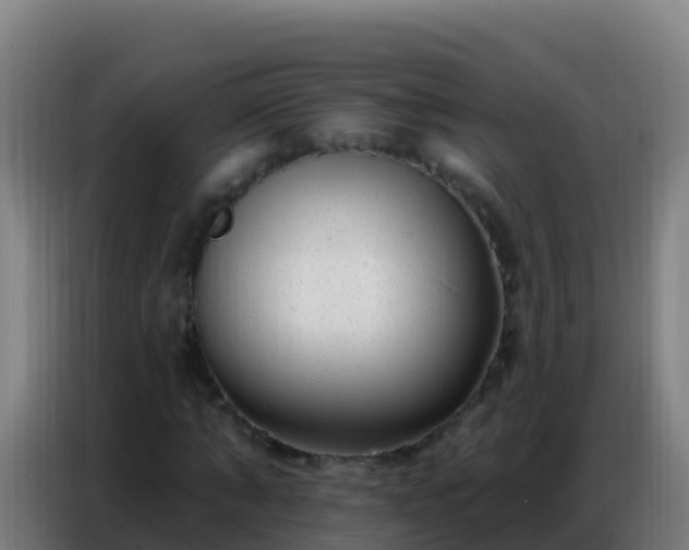 X0000086800870200704201901